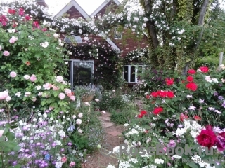 Paul’s Himalayan Musk