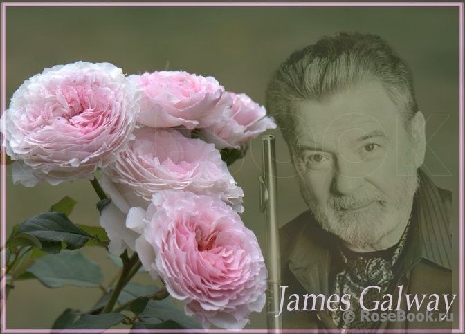 James Galway®