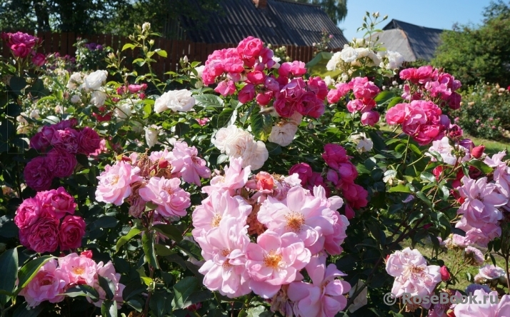 Jardiniers Du Paradis