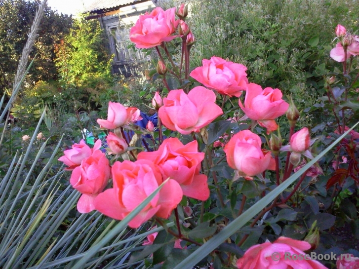 Jardins de France 