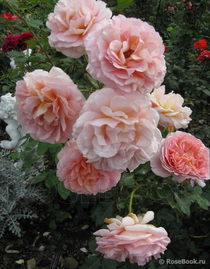 Abraham Darby