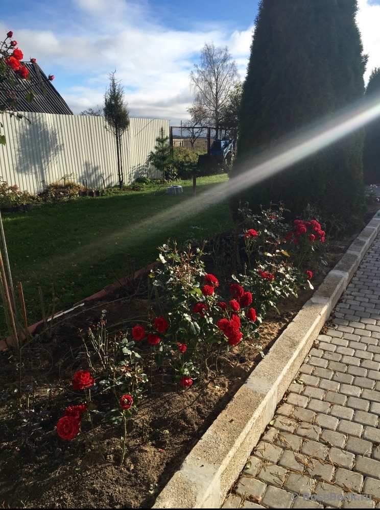 Insel Mainau