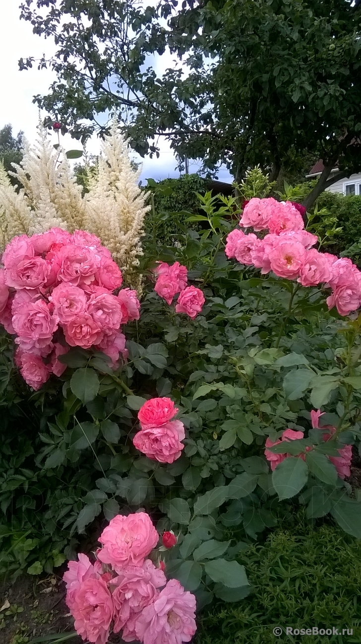 Jardins de France 