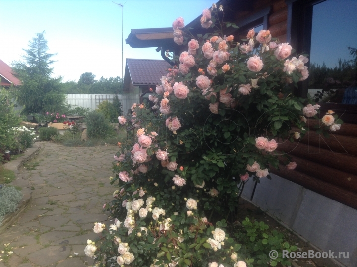 A Shropshire Lad