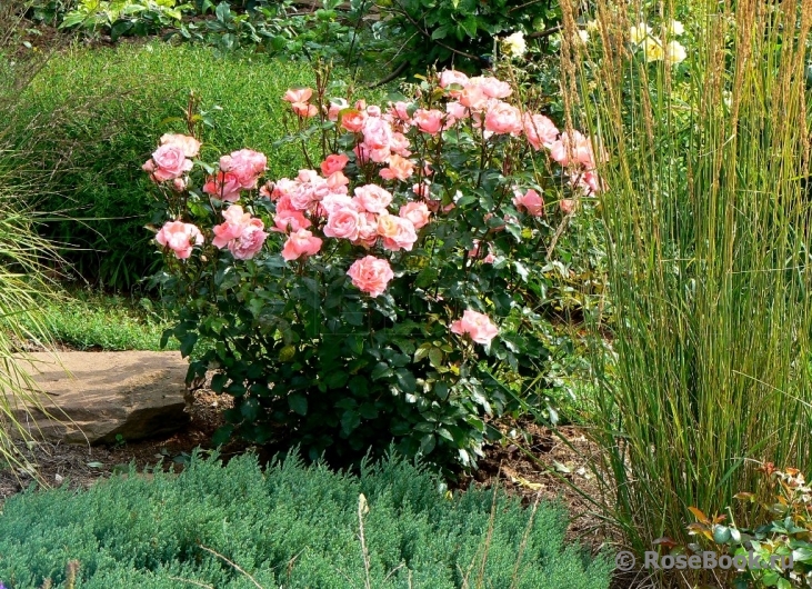 Jardins de France 