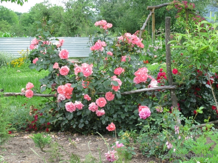 Jardins de France 