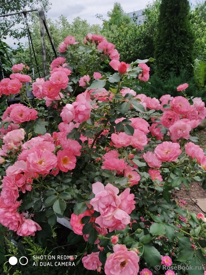 Jardins de France 