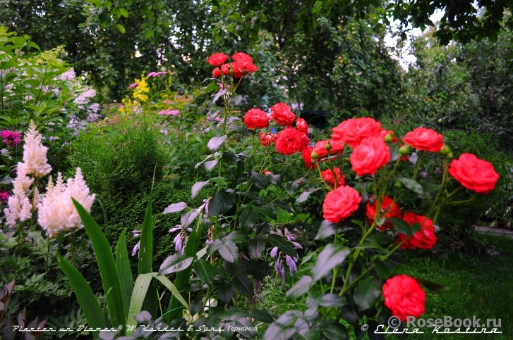 Planten un Blomen®