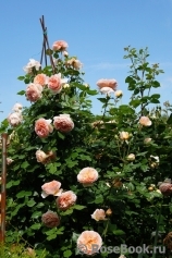 Abraham Darby