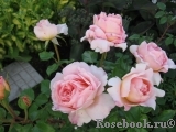 Abraham Darby