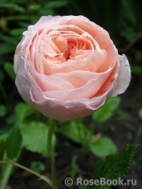 Abraham Darby