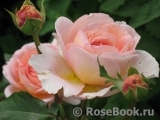 Abraham Darby