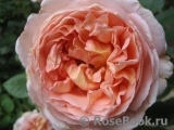 Abraham Darby