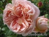 Abraham Darby