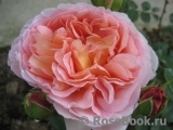 Abraham Darby