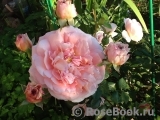 Abraham Darby