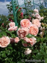 Abraham Darby