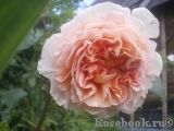 Abraham Darby