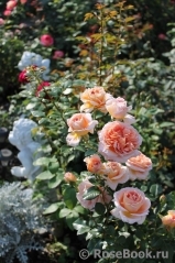 Abraham Darby