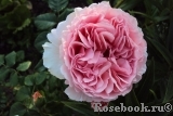 Abraham Darby