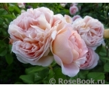 Abraham Darby