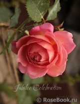 Jubilee Celebration®