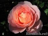 Abraham Darby