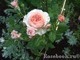 A Shropshire Lad