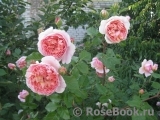 Abraham Darby