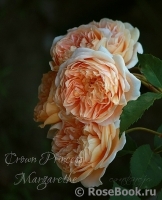 Crown Princess Margareta®