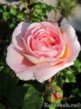 Abraham Darby