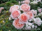 Abraham Darby