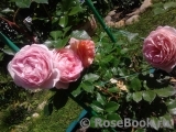 Abraham Darby