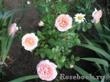 Abraham Darby