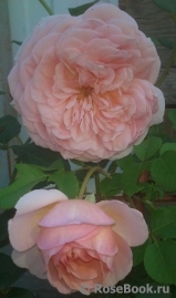 Abraham Darby