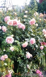 Abraham Darby