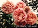 Abraham Darby