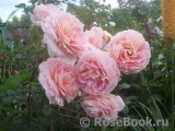 Abraham Darby