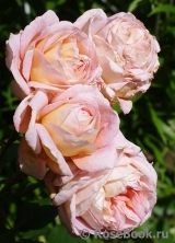 Abraham Darby