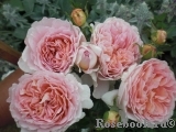 Abraham Darby