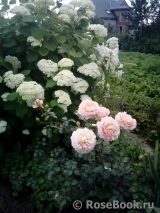 Abraham Darby