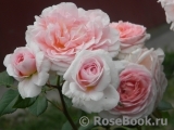 Abraham Darby