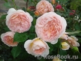 Abraham Darby