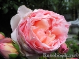 Abraham Darby