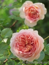 Abraham Darby