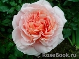 Abraham Darby