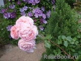 Abraham Darby