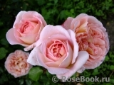 Abraham Darby