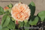 Crown Princess Margareta®