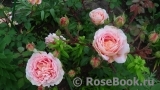 Abraham Darby